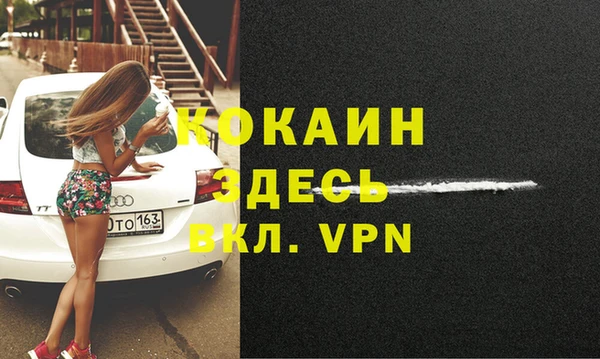 бошки Бородино