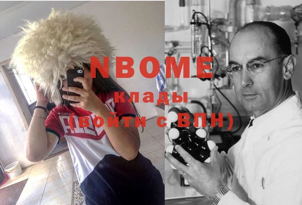 бошки Бородино
