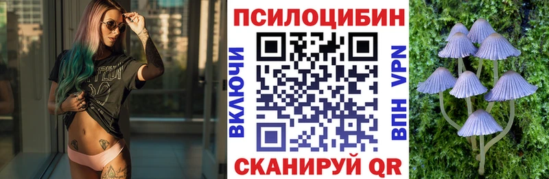 omg   наркота  Вельск  Галлюциногенные грибы ЛСД 