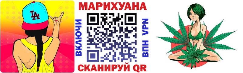 Бошки Шишки планчик  Вельск 